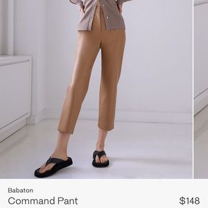 aritzia leather pant